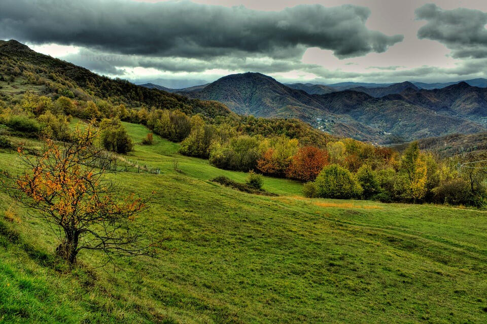 Stellanello Rural Village